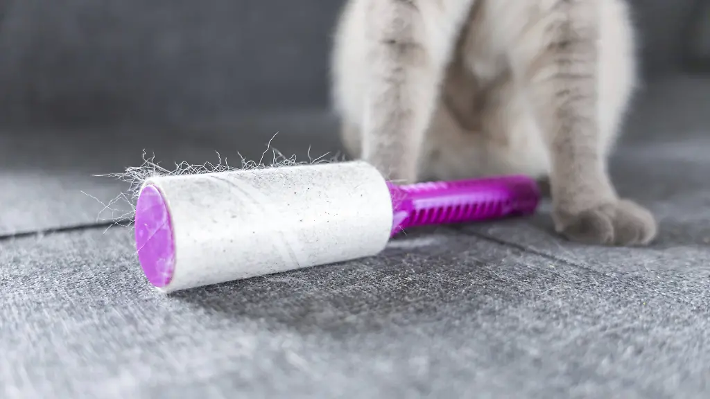 Fusselrolle mit Tierhaaren